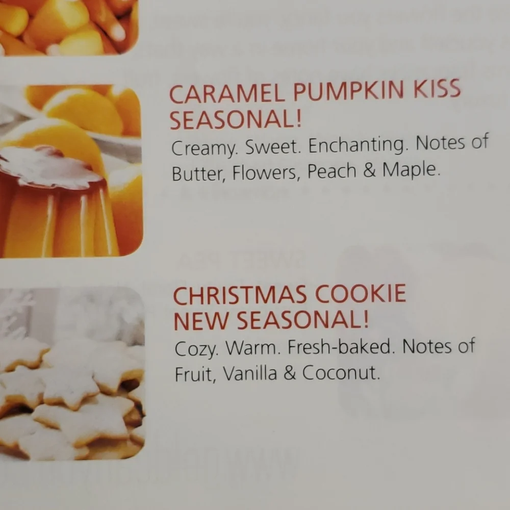 Christmas Cookie -‎ Gold Canyon 22 oz Lumie two wick candle